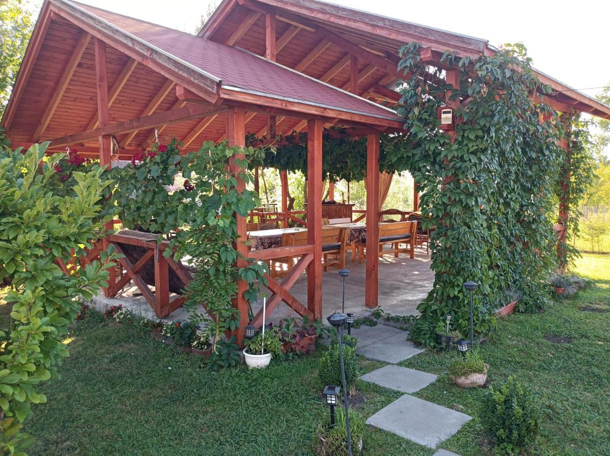 Nárcisz B&B Corund  Exterior foto