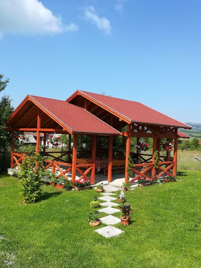 Nárcisz B&B Corund  Exterior foto